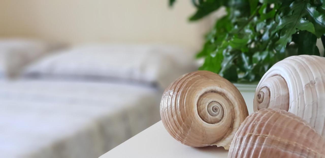 B&B Villa Sofia Porto Cesareo Esterno foto